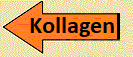 Kollagen